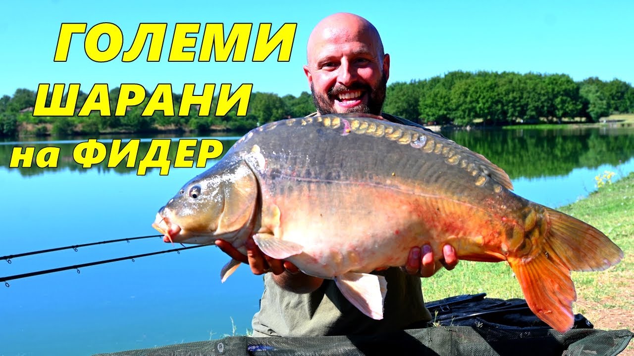 НАПРАВИХ 24 часов РИБОЛОВ с МЕТОД ФИДЕР  - МОНТАЖИ, ЗАХРАНКИ и ТАКТИКА за РИБОЛОВА на ГОЛЕМИ ШАРАНИ