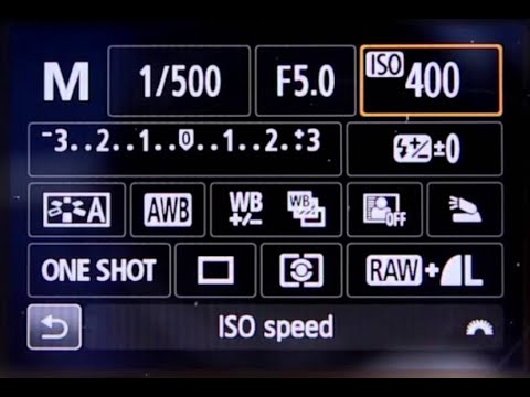 Canon ISO Expansion – How to Extend Your Camera's ISO