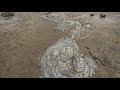 Dinosaur footprints discovered on East Sussex beach