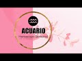 ACUARIO ♒️✨ LLEGA CLARIDAD Y TOMARÁS UNA IMPORTANTE DECISIÓN 🙌🏼💕 Horoscopo y Tarot