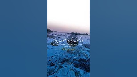 القارئ ياسر الدوسري سورة القصص واوحينا الى ام موسى