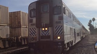 Cdtx 6904 On Point At Bandini