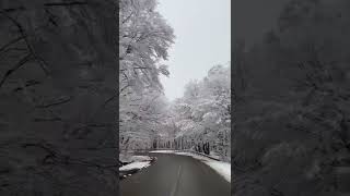 Snowy Road #shorts #wow #amazing #relaxing #music #winter #snow