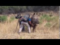 Rhino Requests Belly Rubs From Filmmaker