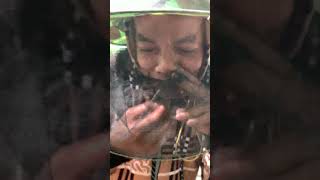 Eliminating Queen Cells 🐝👑 | Hive Management