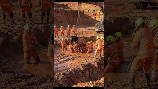 A terrified horse becomes trapped in a liquefied clay collapse inside an abandoned quarry, leading.
