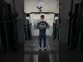 Crucifixo Inverso na polia média ( altura dos ombros )