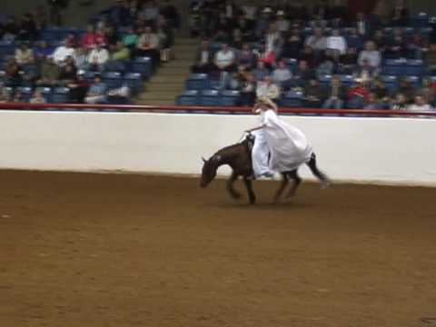 ApHC World Champion Freestyle Reining 2006