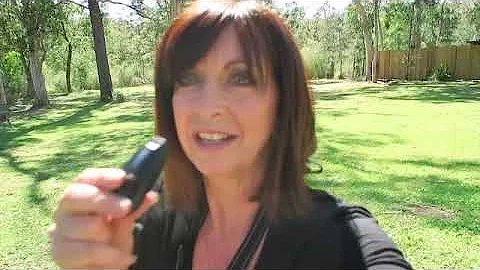 How I  clicker train my whippet puppy