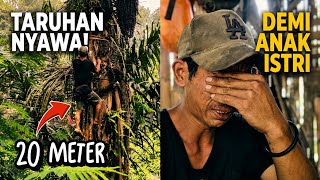 BIKIN KAGET..😱 Rasanya Jantung Seperti Mau Copot, Melihat Perjuangan Pak USMAN, Mengambil Air Nira.