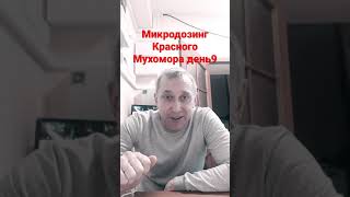 Микродозинг КРАСНОГО МУХОМОРА ДЕНЬ 9