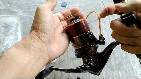 Hướng dẫn vào cước máy câu nhanh và đơn giản cho người mới câu!