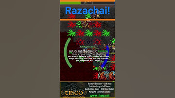 Razachai! #shorts #tibia #tibiapvp #cipsoft #2dgames #tibiame #looted