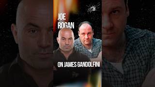 Joe Rogan on James Gandolfini: 'He Was Like a Hippie' — Nothing Like Tony Soprano 😱🎭
