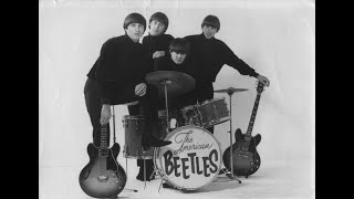 &quot;Don&#39;t Be Unkind&quot;, The American Beetles