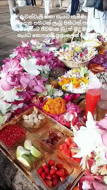 ස්ටෝබෙරි නේද පූජා කරල තියෙන්නේ😲🤔🙏Strawberry offering to Ruwanweli Seya😲🤔🙏#ruwanweliseya #travel