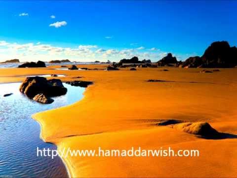 سورة السجدة بصوت الشيخ سعد الغامدي 