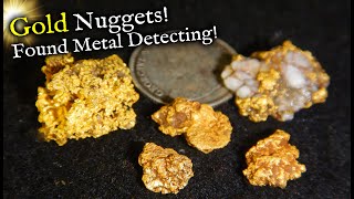Over *ONE OUNCE* total gold found Detecting California Mother Lode!