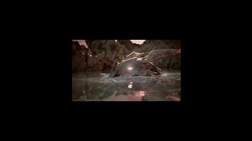 Water Simulation in Houdini: A Challenging Test with Incredible Results|Tiago passion|@cgislandFx