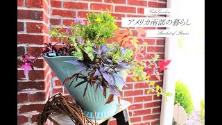 Bucket of flower バケツに植える秋の寄せ植え