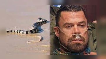 Survivor 49’s Jake Latimer Opens Up About His Recovery After Snake Bite