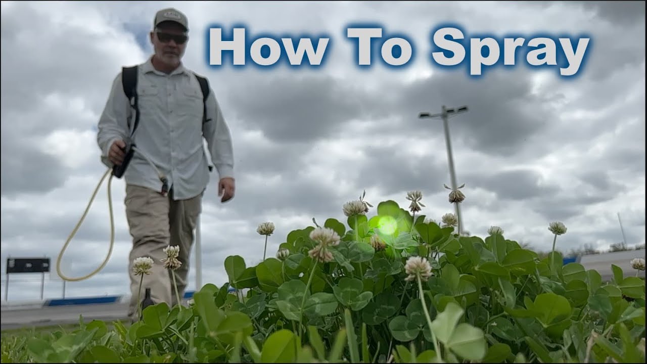 How To Tell If Weed Is Sprayed How To Spray Weed Killer with RESULTS - YouTube