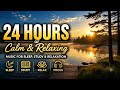 24/7 Calm &amp; Relaxing Music 🌙 Peaceful Lake Ambience for Sleep, Study, Meditation &amp; Focus