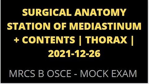 SURGICAL ANATOMY STATION OF MEDIASTINUM + CONTENTS | THORAX