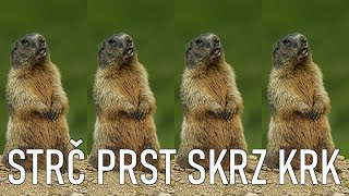 Strč prst skrz krk