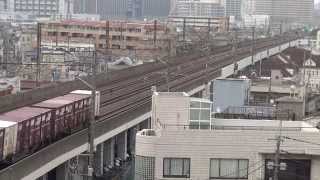 【EF65原色機!!】EF65 2119牽引常磐線貨物列車75レ 亀有付近を通過!