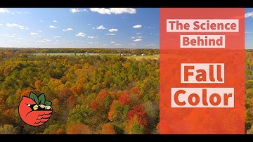 The Science Behind Fall Color