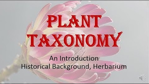 Plant taxonomy  An Introduction
