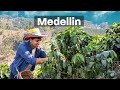 Why living in Medellin, Colombia as a digital nomad rocks (Travel Film)