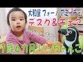 いっちゃんこ　１歳６カ月　大和屋 ブォーノ アミーチェの机とイスを買って貰ったよ