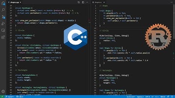 C++20 & Rust on Static vs Dynamic Generics