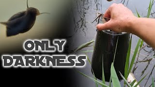 Making an Ecosystem in a Jar That Receives NO LIGHT