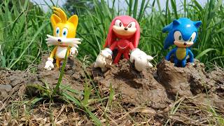 Find Rare Sonic the Hedgehog and Friends Trapped in Thick Mud.