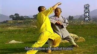 Shaolin Kung Fu: big Hong Quan combat applications screenshot 2
