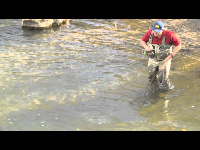 Fly Fishing Tip: How to Net a Fish 