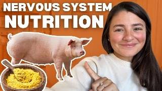 Top 3 Foods To Boost Your B Vitamin Intake And Heal Your Nervous System