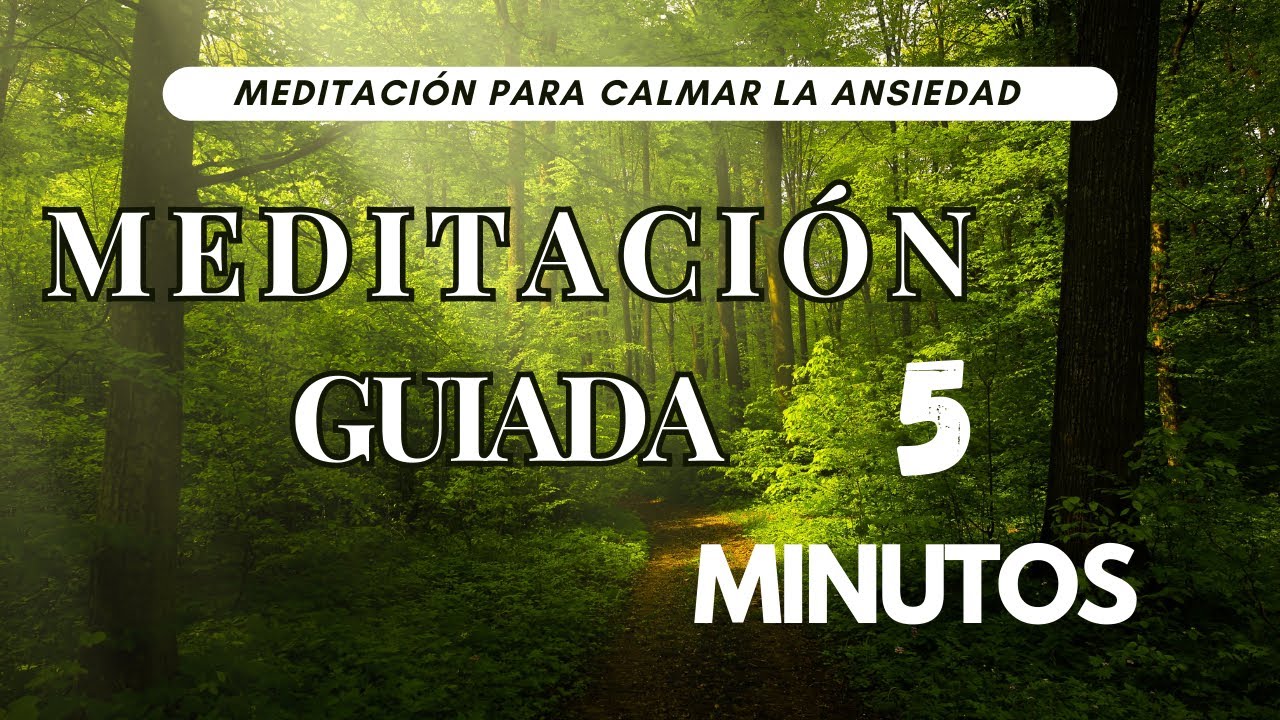 Meditación guiada de 5 minutos para calmar la ansiedad y reconectar con ...