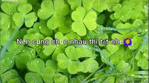 Chúc ai xem được video clip này thi tốt nha!