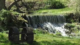 Seer @GlennHallLivingWater