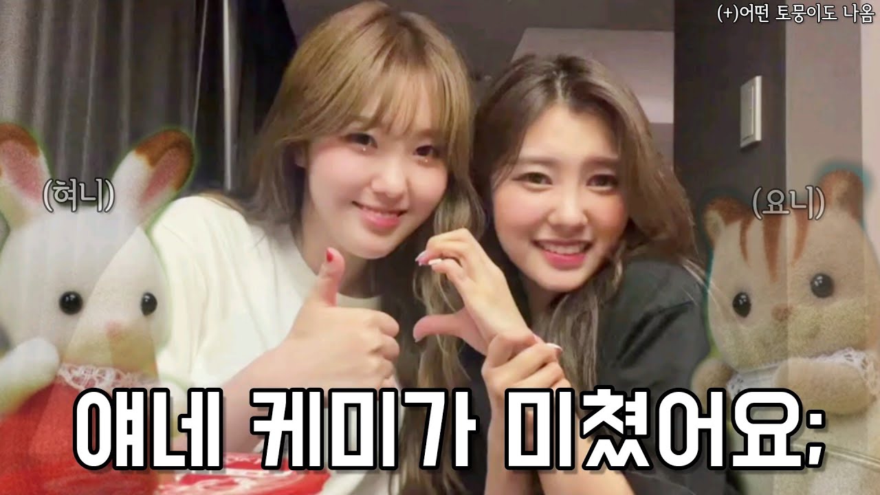 [케플러 채다즈] 제가 개그맨들을 좋아하고 있었대요 .. (채다즈 호텔 브이앱 요약)