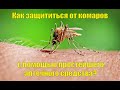 Как защититься от комаров с помощью простейшего аптечного средства