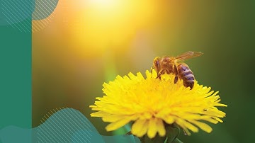 Join the plant health movement