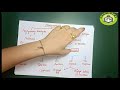 Carbohydrates | Classification of Carbohydrates | Lecture -1