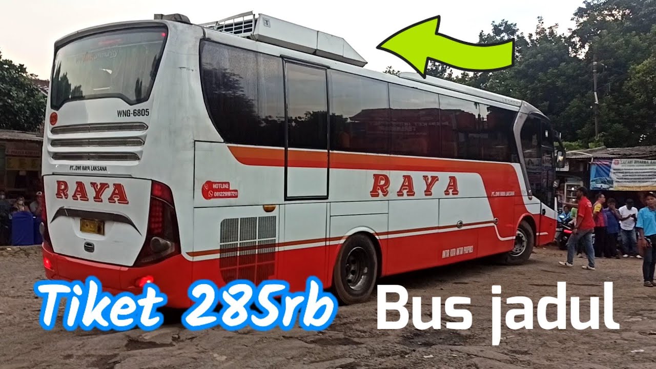 Bus Raya Bus raya jadul di turunkan harga normal tidak naik - YouTube