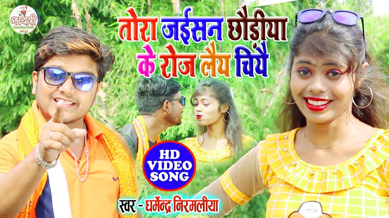  dharmendra nirmaliya ka new video   Tora Jaisan Chhauri Ke Roj         