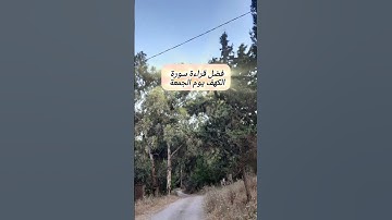 فضل قراءة سورة الكهف يوم الجمعة 👌🏻#ادعمنا_بالإشتراك_وتفعيل_زر_الجرس #اكسبلور #جمعة_طيبه